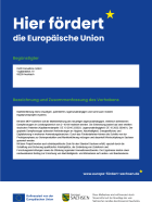 EU_Gyroskop-Markt